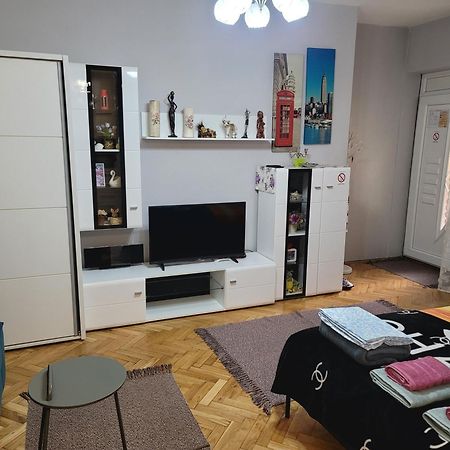 Appartamento Apartman "Garden" Novi Sad Esterno foto