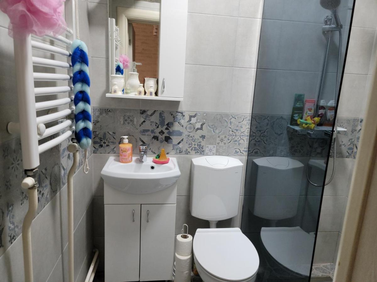 Appartamento Apartman "Garden" Novi Sad Esterno foto