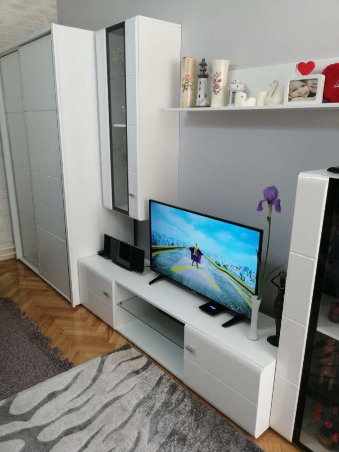 Appartamento Apartman "Garden" Novi Sad Esterno foto